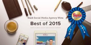 Stark Social Named Best Santa Clarita Web Design Company 2015